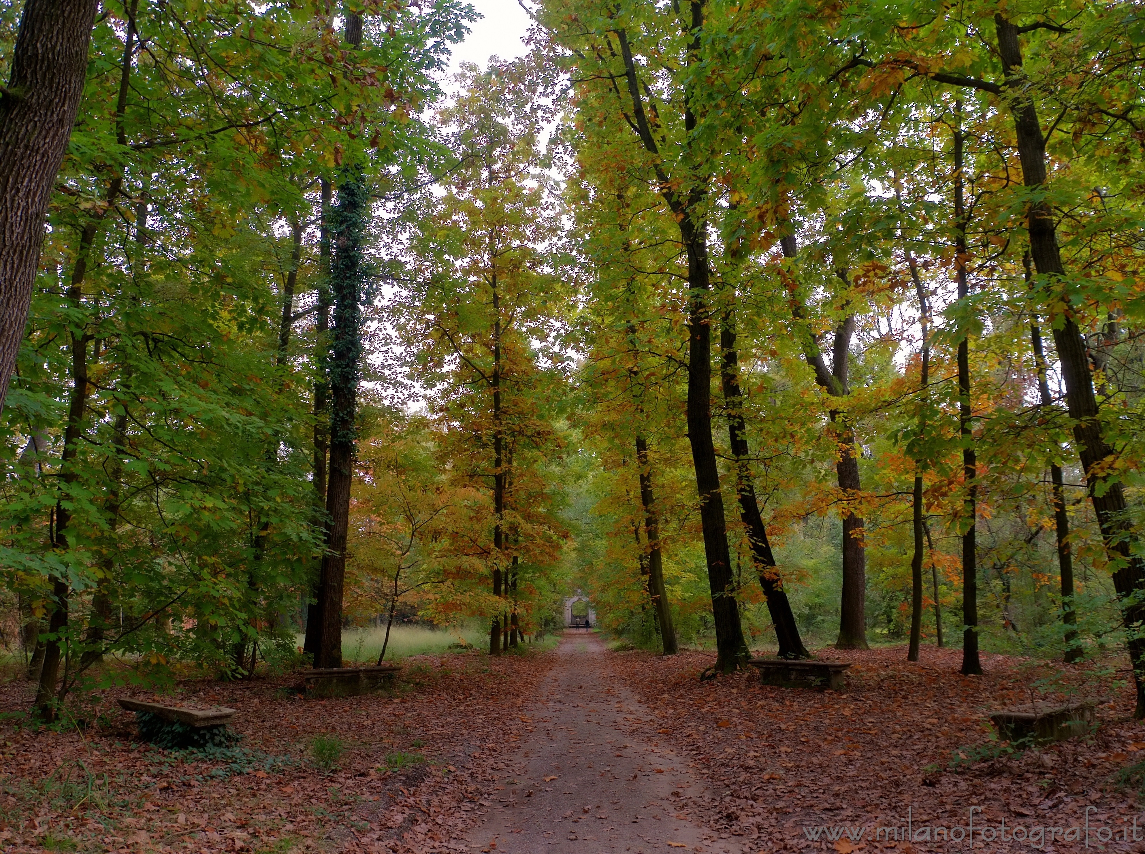 Bollate (Milano) - Autunno nel parco di Villa Arconati